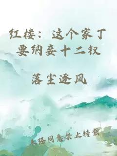 红楼:这个家丁要纳妾十二钗
