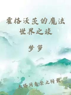 霍格沃茨的魔法世界之旅