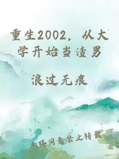 重生2002，从大学开始当渣男