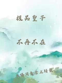 极品皇子