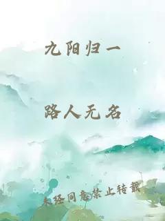 九阳归一