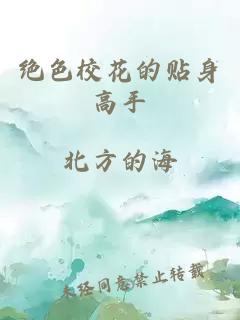 绝色校花的贴身高手