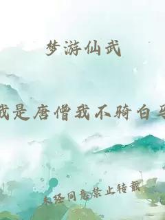 梦游仙武