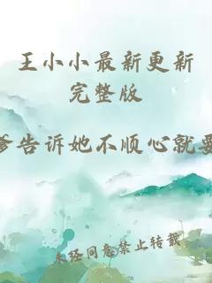 王小小最新更新完整版