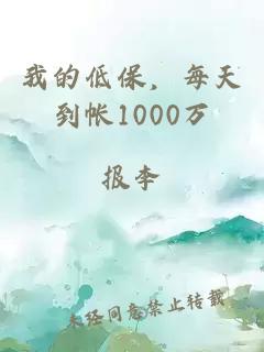 我的低保，每天到帐1000万