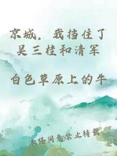 京城，我挡住了吴三桂和清军