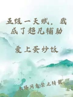 五级一天赋，我成了超凡辅助