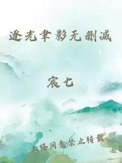 逐光聿影无删减