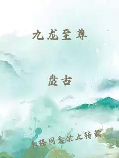 九龙至尊
