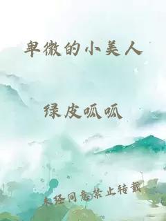 卑微的小美人
