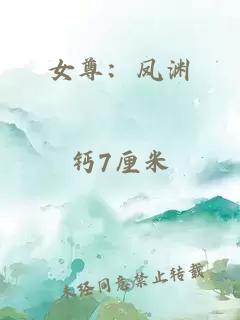 女尊:凤渊