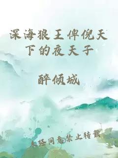 深海狼王俾倪天下的夜天子