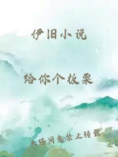 伊旧小说