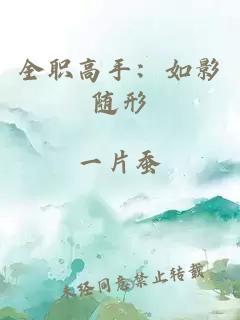 全职高手:如影随形