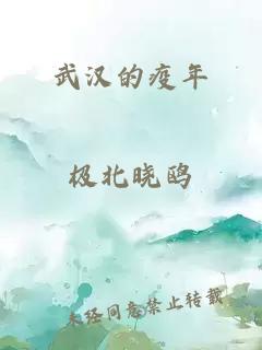 武汉的疫年