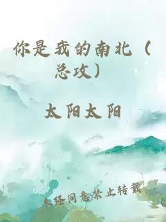 你是我的南北(总攻)