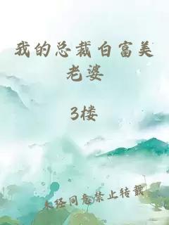 我的总裁白富美老婆