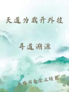 天道为我开外挂