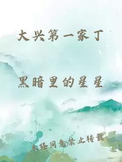 大兴第一家丁