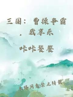 三国:曹操争霸,我享乐