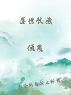 盛世收藏
