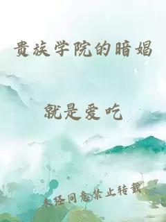 贵族学院的暗娼